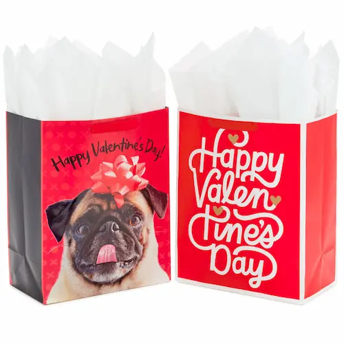 Valentines Day gift bags